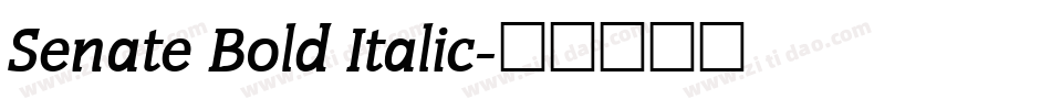 Senate Bold Italic字体转换